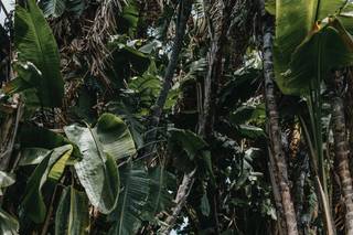 Kharon Photography - 18