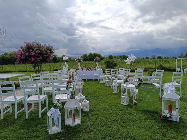 Passion Flower Kb - 4