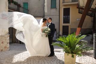 Falco fotografi - 14