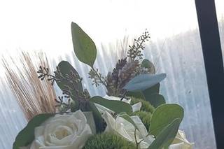 Garden Isola Verde - 5