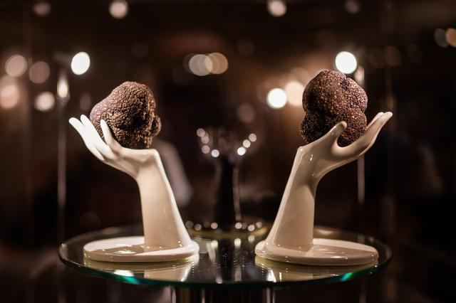 The Lord of Truffle - Truffle World - 4