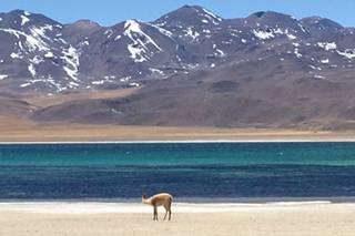 Terra di Mezzo Viaggi - 9