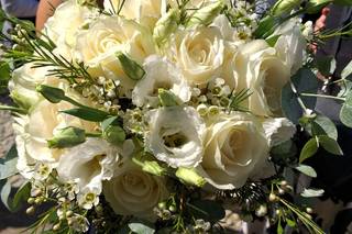 Sala Fiori e Piante - 13