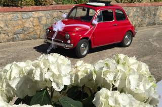 Fiat 500 Storica - rosso Ferrari - 5