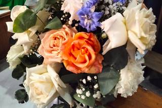 Linea Verde Balistreri - 13