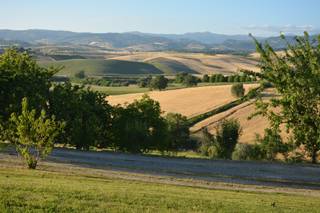 Villa Acquaviva Wine Resort - 14