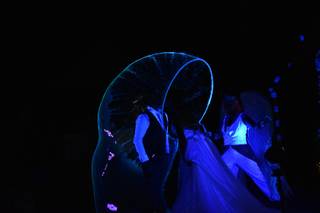 Blowing Bubbles Show - 6