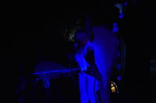 Blowing Bubbles Show - 7