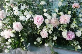 Lathyrus Laboratorio Floreale - 29