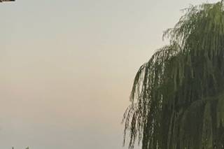 La Collina dei Sogni - 29