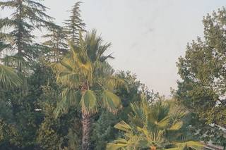 Murgia Garden Ricevimenti - 8