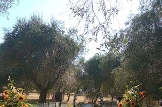 Maria Rita Spidoni - 8