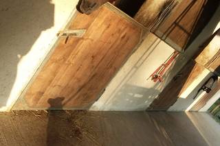 La Regina del Bosco - 8