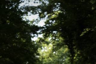 Focus Studio Creativo - 11