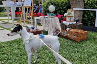 Francesca Dog SItter - Bau Wedding - 12
