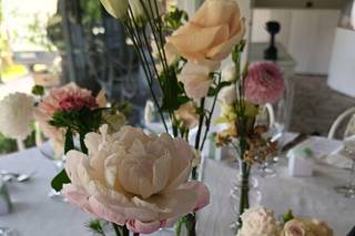 Regini Fiori e Piante - 20