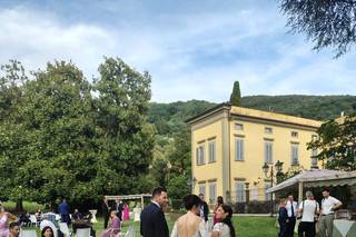 Weddingrose - 5