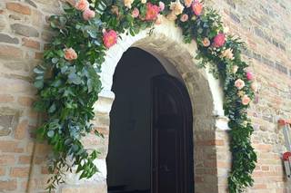 Regini Fiori e Piante - 22