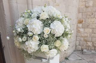Ausonia Wedding - 9