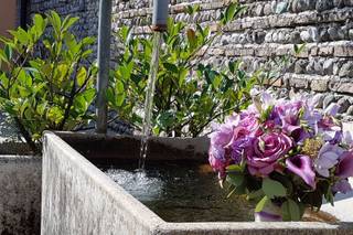 Bois de Rose - 5
