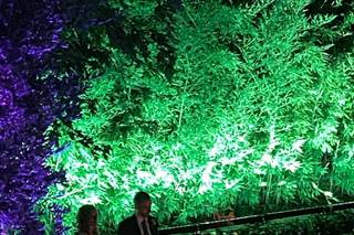Branz Audio & Light Soutions - 6