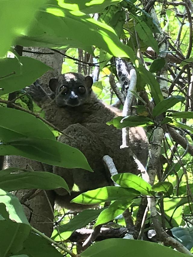 Bluvacanze - Candelo - 2