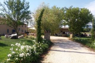 Tenuta Le Tre Virtù - 1