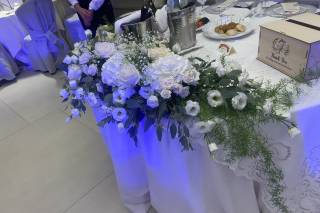 Centro Flora Alcamo - 10