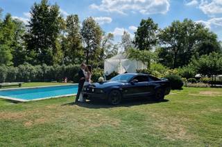 Noleggio Ford Mustang GT V8 - 11