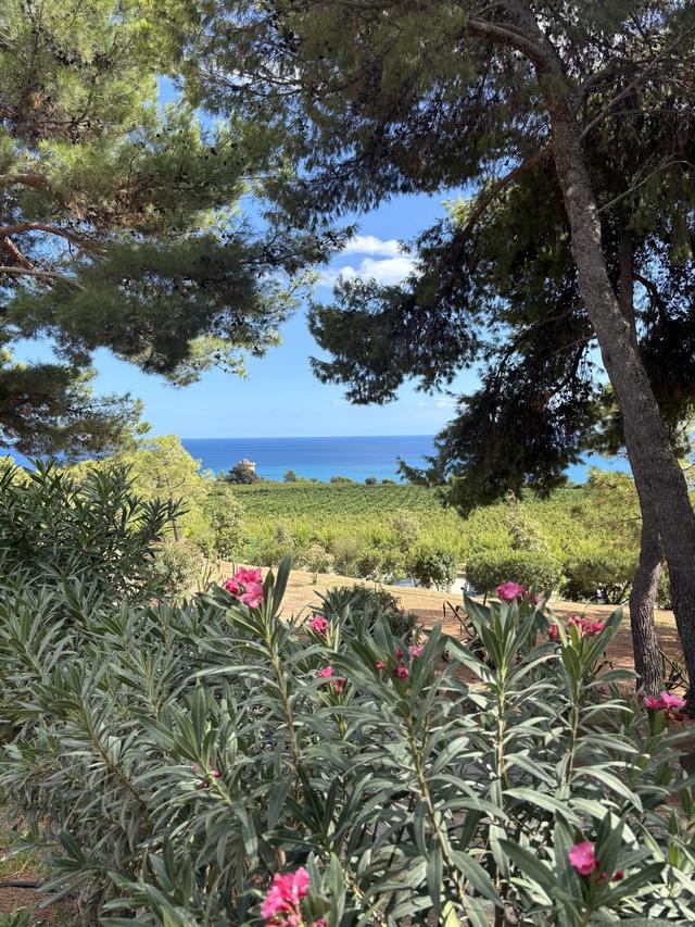Masseria Torre di Albidona - 1