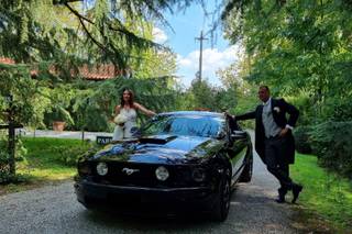 Noleggio Ford Mustang GT V8 - 13