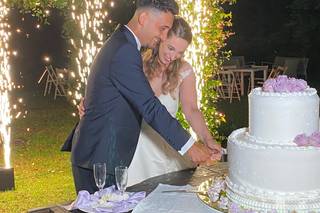 Iris foto & video - 12