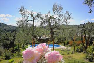 Party Shop Il Giglio - 20