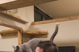 Bozzato Abbigliamento - 17