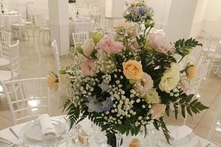 Piante e Fiori di Astolfi Italia - 10