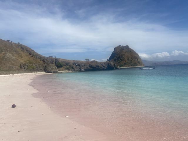 Portotravel - 1