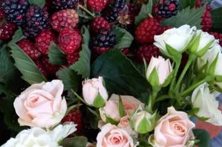 L'Ecosistema Fiori - 4