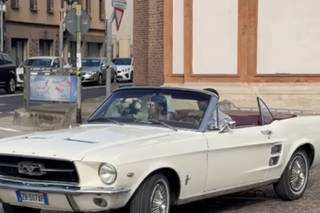 La Dolce Vita Wedding Car - 6