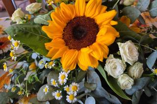 Nocerino Floral Designer - 5