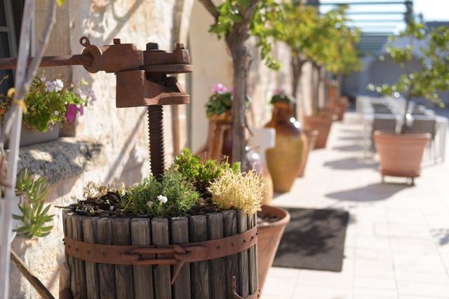 Masseria Le Caselle - Parco delle Querce - 3