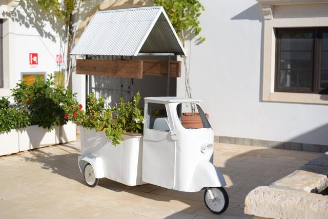 Masseria Le Caselle - Parco delle Querce - 4