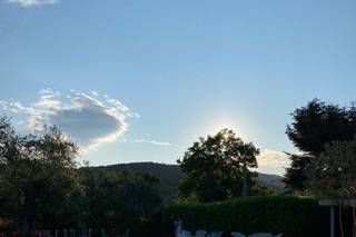 Ristorante Regina - 6