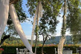 Ristorante Regina - 7