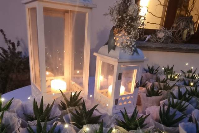 Gypsophila flowers designer 5