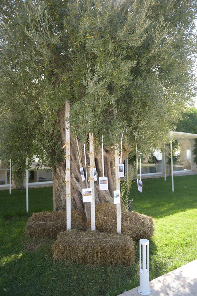 Masseria Le Caselle - Parco delle Querce - 2