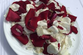 Flowers and Confetti - 6