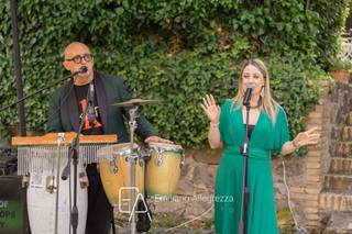 Everglades Musica e Animazione - 8
