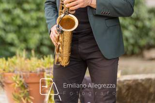 Everglades Musica e Animazione - 9
