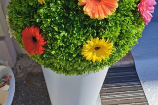 Fiorissimi Group - 22