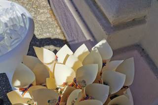 Fiorissimi Group - 23